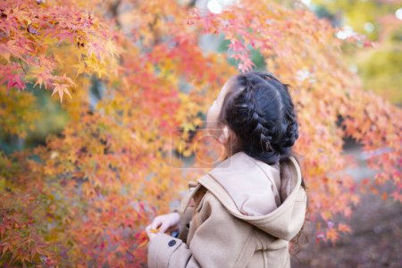 Téléchargez les photos : Mignonne asiatique fille dans automne parc - en image libre de droit