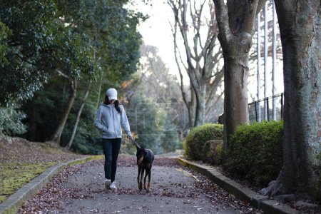 Téléchargez les photos : Femme marchant avec un chien - en image libre de droit