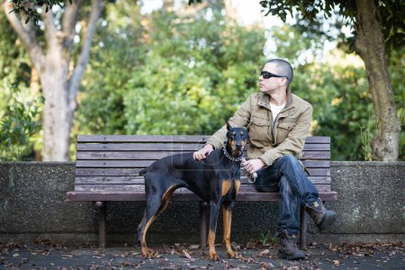 Téléchargez les photos : Homme qui se détendre avec Doberman au banc du parc - en image libre de droit