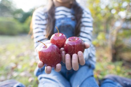 Photo for Girl with an apples in hands - Royalty Free Image