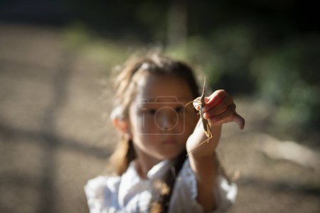 Téléchargez les photos : Fille qui a attrapé une sauterelle - en image libre de droit