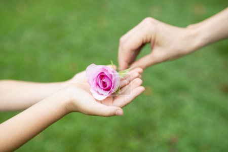 Photo for A child and mother hands with   flower outdoors - Royalty Free Image