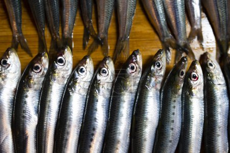 Photo for Lots of fresh sardines on table - Royalty Free Image