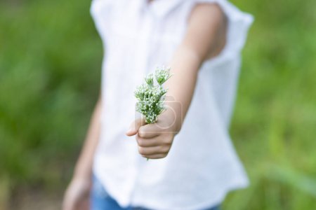 Téléchargez les photos : Enfant avec des fleurs dans le champ - en image libre de droit