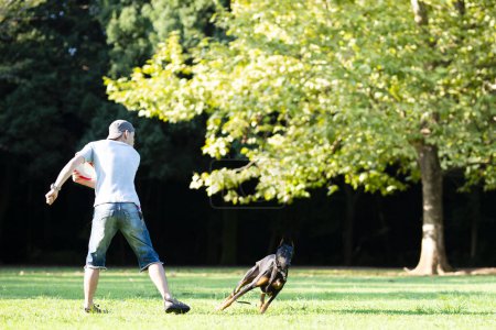 Téléchargez les photos : Homme jouer avec Doberman dans le parc - en image libre de droit