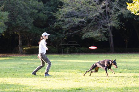 Téléchargez les photos : Femme jouant avec Doberman sur la pelouse - en image libre de droit