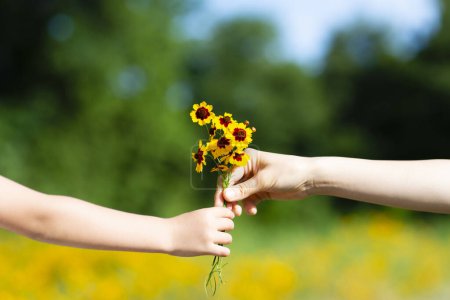 Téléchargez les photos : Mains de parents et d'enfants remettant des fleurs jaunes - en image libre de droit