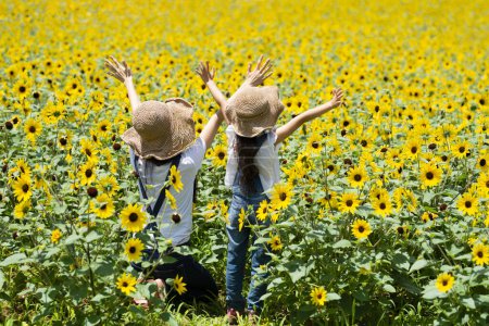 Photo for Sunflower field and parent and child - Royalty Free Image