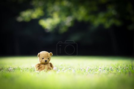 Téléchargez les photos : Ours en peluche sur pelouse verte - en image libre de droit