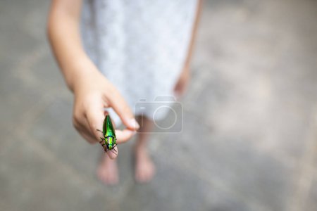Téléchargez les photos : Coléoptère de la main et des bijoux de l'enfant - en image libre de droit