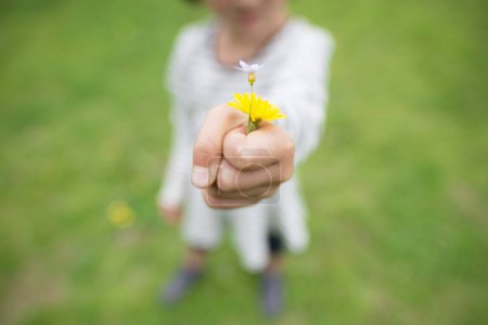 Téléchargez les photos : Fille donnant des fleurs à la main - en image libre de droit