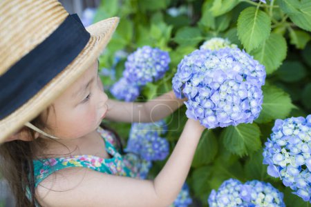 Photo for Hydrangea flowers and Little Girl - Royalty Free Image