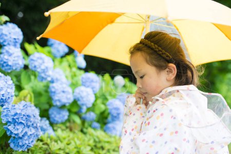 Téléchargez les photos : Hortensia fleurs et fille avec parapluie - en image libre de droit