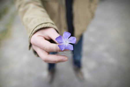 Téléchargez les photos : Main humaine avec la fleur - en image libre de droit