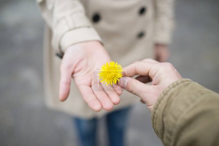 Téléchargez les photos : Homme donnant fleur à femme en plein air - en image libre de droit