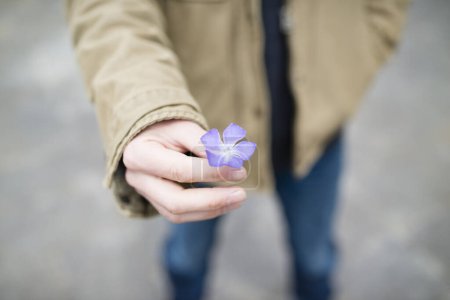 Téléchargez les photos : Main humaine avec la fleur - en image libre de droit