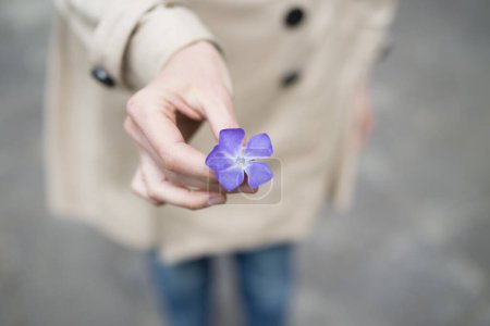 Photo for Human hand with the flower - Royalty Free Image