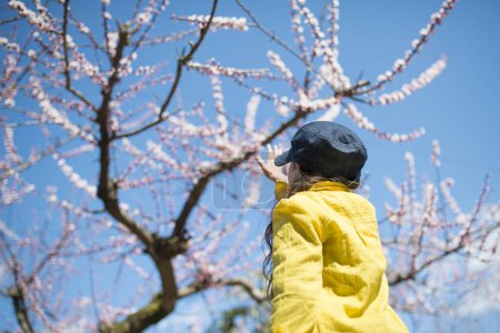 Téléchargez les photos : Petite fille regardant les fleurs - en image libre de droit