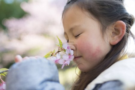 Téléchargez les photos : Petite fille reniflant l'odeur des fleurs de cerisier - en image libre de droit