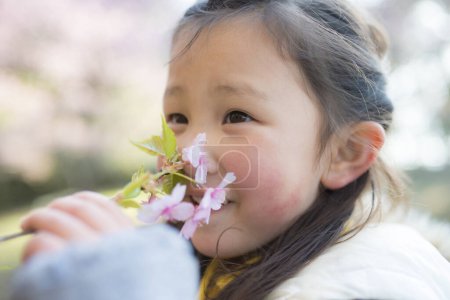Téléchargez les photos : Petite fille reniflant l'odeur des fleurs de cerisier - en image libre de droit