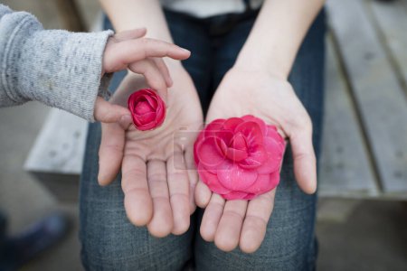 Photo for Parent and child hands handing camellia flowers - Royalty Free Image