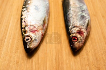 Photo for Two herrings placed on a cutting board - Royalty Free Image
