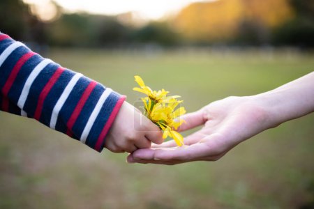 Téléchargez les photos : Un enfant et sa mère mains avec des fleurs à l'extérieur - en image libre de droit