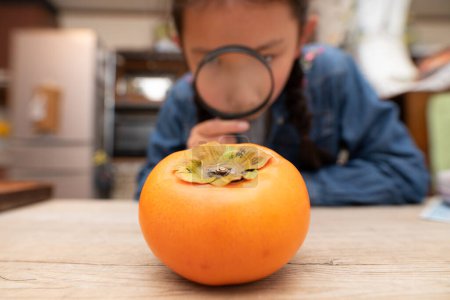 Photo for A girl looking at a persimmon with a magnifying glass - Royalty Free Image