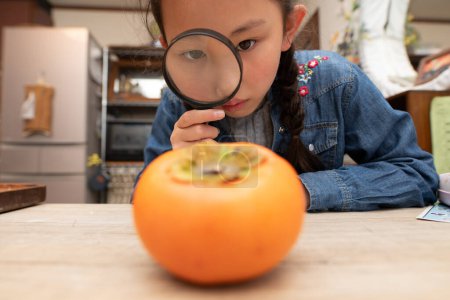 Photo for A girl looking at a persimmon with a magnifying glass - Royalty Free Image
