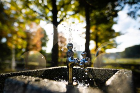 Téléchargez les photos : Eau potable à la fontaine d'eau dans le parc - en image libre de droit