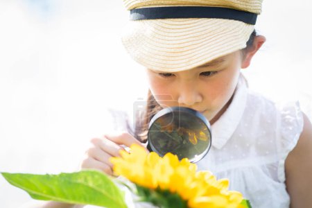 Photo for Portrait of little girl looking through magnifying   glass on sunflower - Royalty Free Image