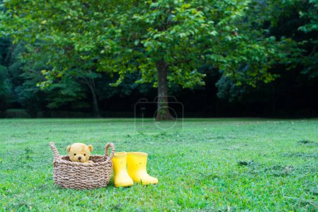 Photo for Teddy bear entering the basket - Royalty Free Image