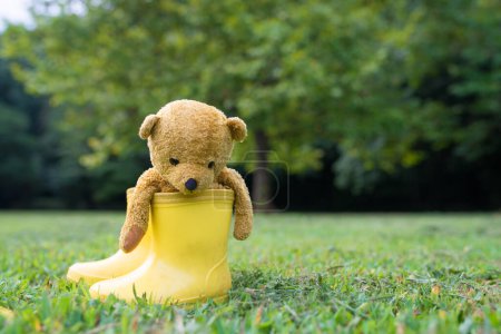 Photo for Teddy bear entering the rain boots - Royalty Free Image