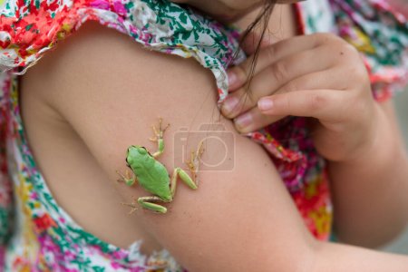 Photo for Frog climbing on arm of Girl - Royalty Free Image