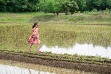 Foto de Un niño caminando por el arrozal - Imagen libre de derechos