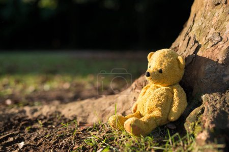 Téléchargez les photos : TEDDY BEAR couleur marron sur l'herbe - en image libre de droit
