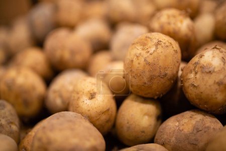 Foto de Un montón de patatas con tierra - Imagen libre de derechos