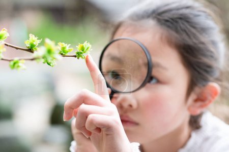 Téléchargez les photos : Une fille regardant un germe d'arbre avec une loupe - en image libre de droit