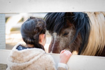 Téléchargez les photos : Une fille fixe un poney - en image libre de droit