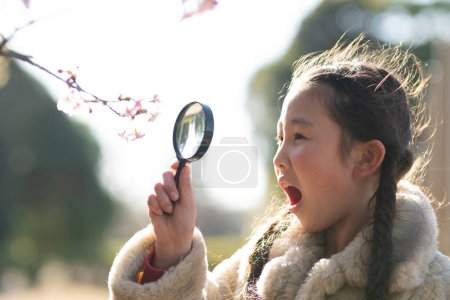 Foto de Una chica que ve flores de cerezo con lupa - Imagen libre de derechos