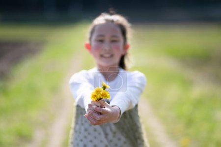 Photo for Girl holding out a dandelion flowers - Royalty Free Image