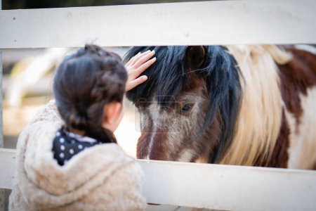 Téléchargez les photos : Une fille fixe un poney - en image libre de droit