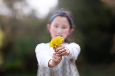 Téléchargez les photos : Fille tenant un pissenlit fleurs - en image libre de droit