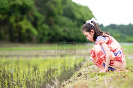 Téléchargez les photos : Un enfant fixe une rizière qui a été plantée - en image libre de droit