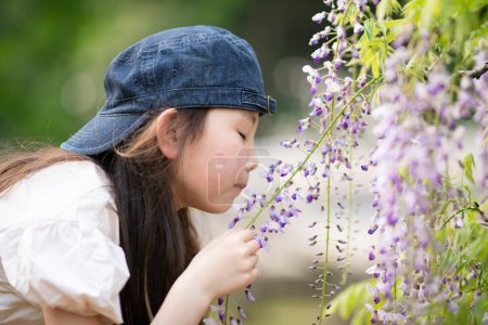 Foto de Una chica que huele el olor de la glicina - Imagen libre de derechos