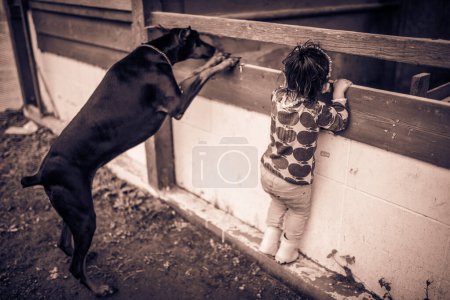 Téléchargez les photos : Doberman avec un enfant cherchant quelque chose ensemble - en image libre de droit