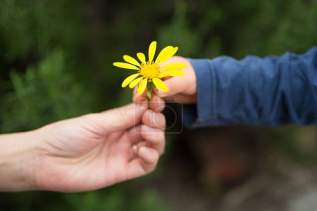 Photo for Little baby giving Yellow flower to mother - Royalty Free Image