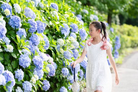 Photo for Girl looking at hydrangea flowers - Royalty Free Image