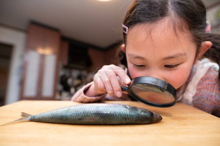Photo for Girl sees fish with magnifying glass - Royalty Free Image