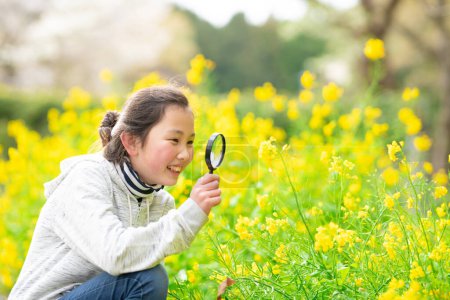 Photo for Girl looking at rape blossoms with a magnifying glass - Royalty Free Image